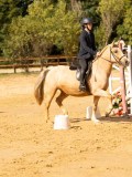 DSC08494 DSC08494