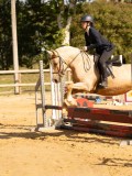 DSC08500 DSC08500