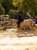 DSC08503 DSC08503