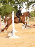 DSC07839 DSC07839