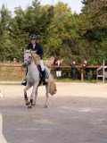 DSC07716 DSC07716