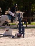 DSC07726 DSC07726