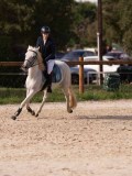 DSC07729 DSC07729