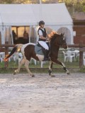 DSC05889 DSC05889