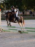 DSC05898 DSC05898