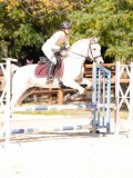 DSC08799 DSC08799