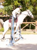 DSC08800 DSC08800