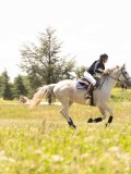 24_04253 24_04253