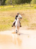 DSC03574 DSC03574