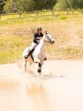 DSC03575 DSC03575