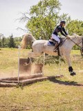 IMG_9367 IMG_9367