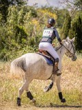 IMG_9369 IMG_9369