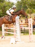 DSC04800 DSC04800