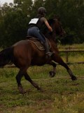 DSC07699 DSC07699
