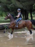 IMG_2848 IMG_2848
