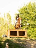DSC00646 DSC00646