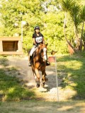 DSC00648 DSC00648