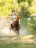DSC00649 DSC00649