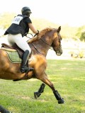 DSC00657 DSC00657