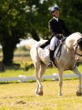 DSC00368 DSC00368
