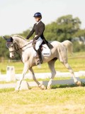 DSC00371 DSC00371