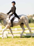 DSC00373 DSC00373