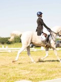 DSC00389 DSC00389