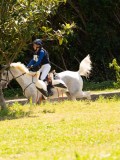 DSC01738 DSC01738