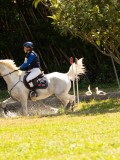DSC01739 DSC01739