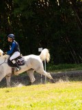DSC01740 DSC01740