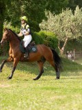 DSC07805