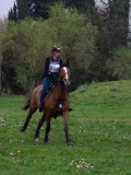 IMG_0225 IMG_0225