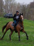 IMG_0231 IMG_0231