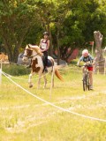 DSC02687 DSC02687