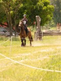 DSC02741 DSC02741