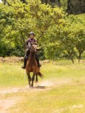 DSC02743 DSC02743