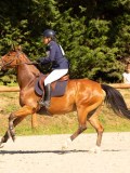 DSC00124 DSC00124