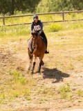 DSC03593 DSC03593
