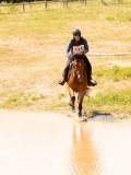 DSC03594 DSC03594