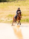 DSC03595 DSC03595