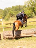 DSC03599 DSC03599