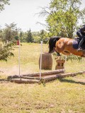 IMG_9375 IMG_9375