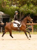 DSC04959 DSC04959