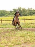 DSC07338 DSC07338