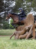 IMG_2462 IMG_2462