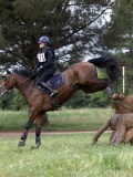 IMG_2464 IMG_2464