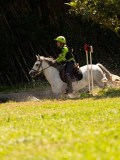 DSC01813 DSC01813