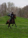 IMG_0336 IMG_0336