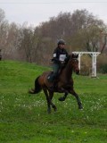 IMG_0340 IMG_0340