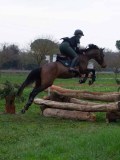 IMG_0347 IMG_0347